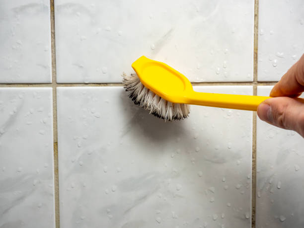 Certified Mold Removal in Middlesex, NJ