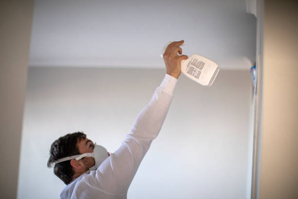 Best Mold Removal Company Near Me  in Middlesex, NJ