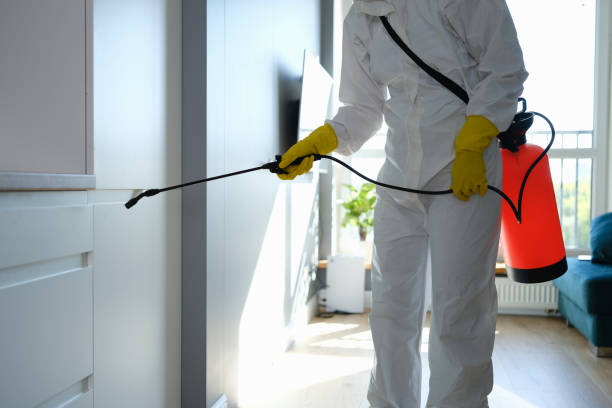 Best Mold Remediation  in Middlesex, NJ
