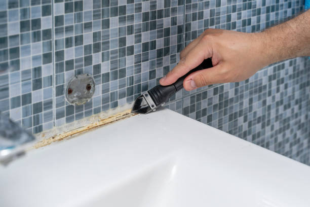 Best Affordable Mold Removal  in Middlesex, NJ