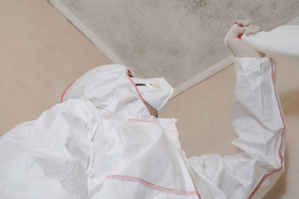Best Mold Remediation  in Middlesex, NJ