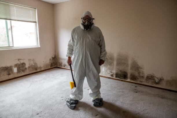 Best Mold Damage Repair  in Middlesex, NJ