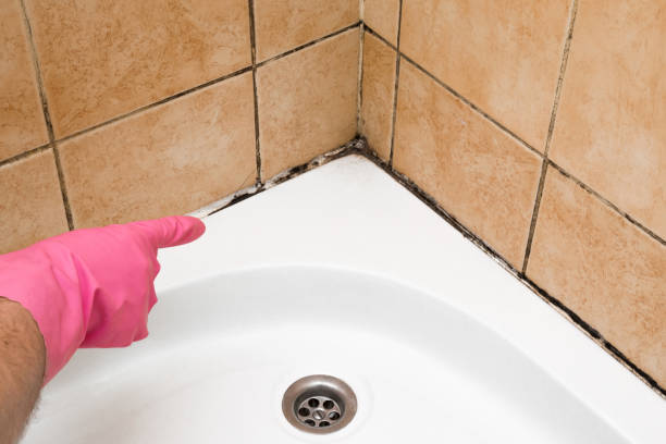 Crawl Space Mold Removal in Middlesex, NJ